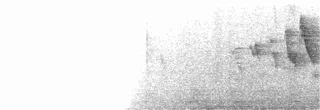 Лусонская белоглазка - ML219276981