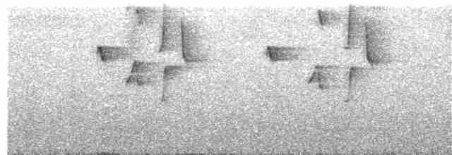 Conirostre marguerite - ML219312461