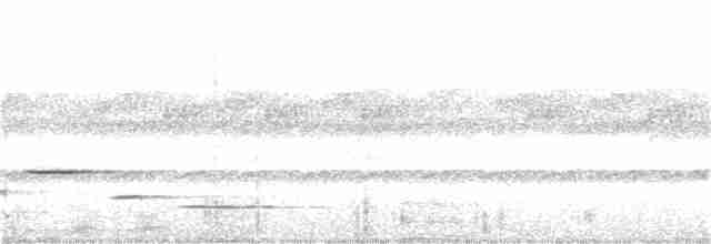 Troglodyte arada - ML219343931