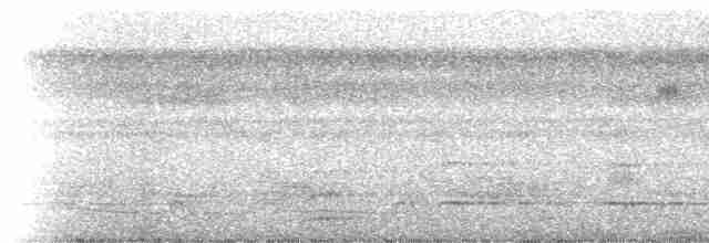 Полосатая пуховка (torridus) - ML219417