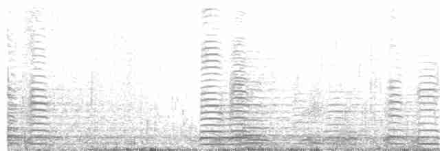 Cisne Trompetero - ML219477061