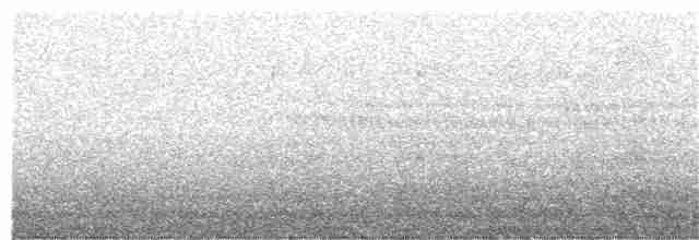 Troglodyte de Baird - ML219496841