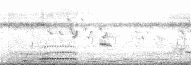 Pheasant-tailed Jacana - ML219529681