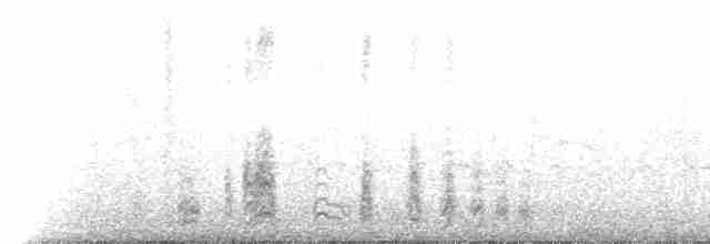 Paíño Boreal (leucorhoa) - ML219544