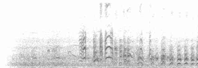 Paíño Boreal (leucorhoa) - ML219546