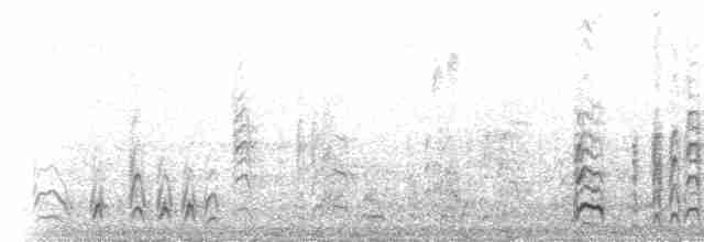 Paíño Boreal (leucorhoa) - ML219547