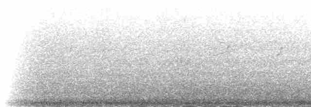 אוריה שחורה - ML219549