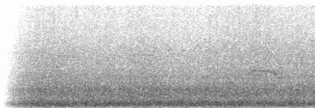 אוריה שחורה - ML219554
