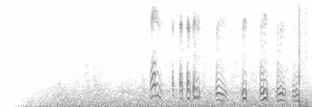 Северная качурка (leucorhoa) - ML219557