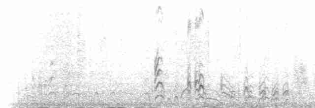 Paíño Boreal (leucorhoa) - ML219558