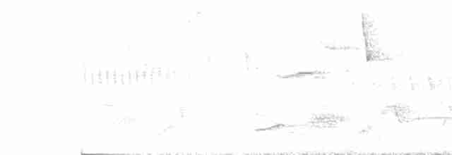 gråstrupeskogvaktel - ML219561591