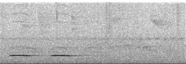 Сичик-горобець крихітний - ML219611601