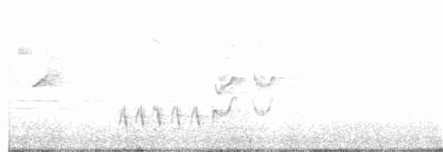 Rotspottdrossel - ML219724041
