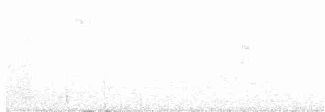 Tepeli Bıldırcın Kumrusu - ML219793601