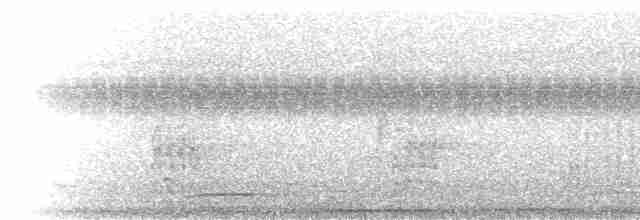 Thicket Tinamou - ML219814