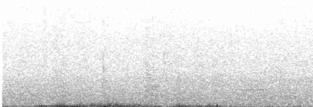 Gray Heron - ML219830851