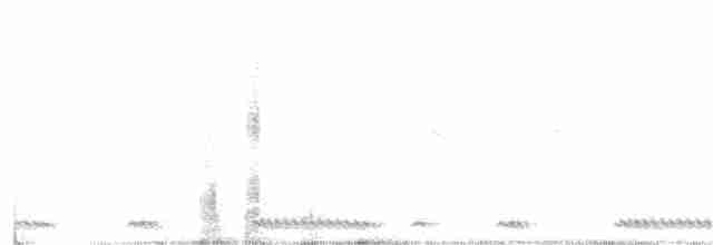 hrdlička límečková - ML219872431