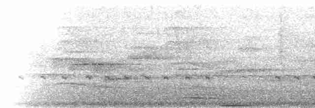 svartkroneskogtrost - ML219987