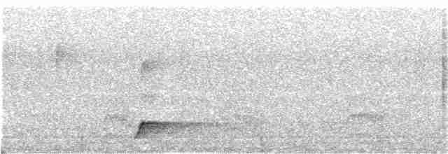 Short-tailed Antthrush - ML220059931