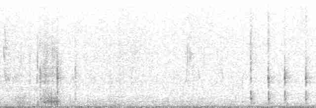 Інкавець сірий - ML22006