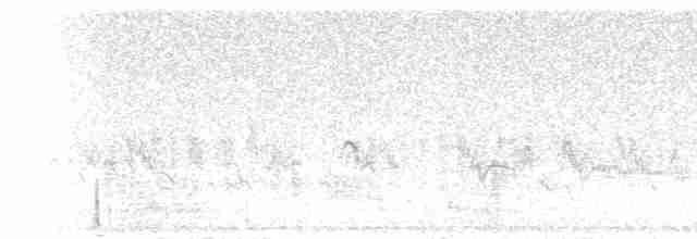 Eastern Meadowlark (Eastern) - ML220078