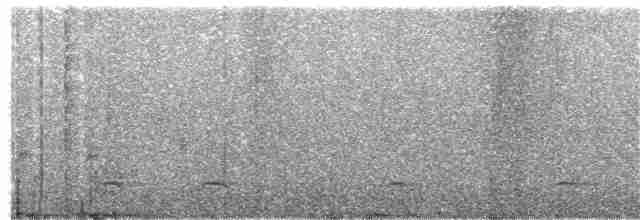 Сичик-горобець гірський (підвид gnoma) - ML220083741