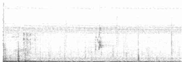 Бледногорлый миарх - ML220100251