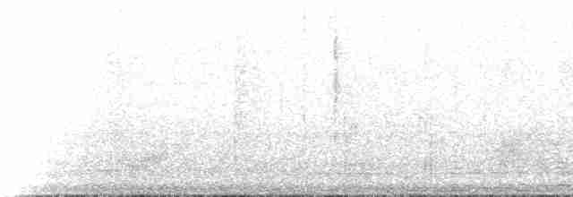 Татаупа блідий - ML220122