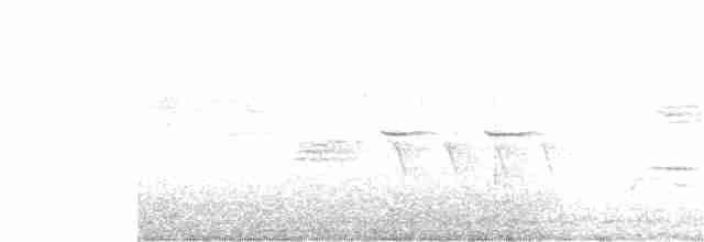 Hudson Körfezi Serçesi - ML220149361