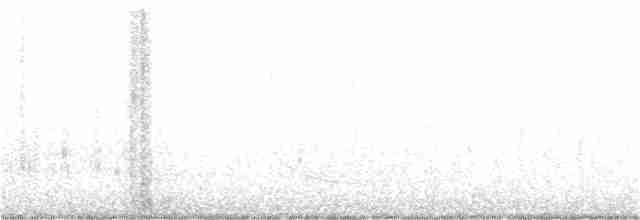 Weißbauch-Phoebetyrann - ML220198421