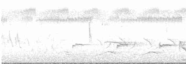 Prairie Warbler - ML220215021