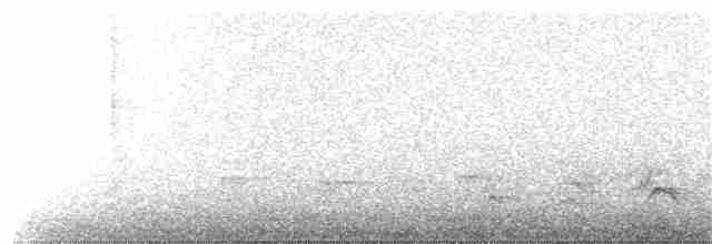 Чатемский хакавай - ML220229321
