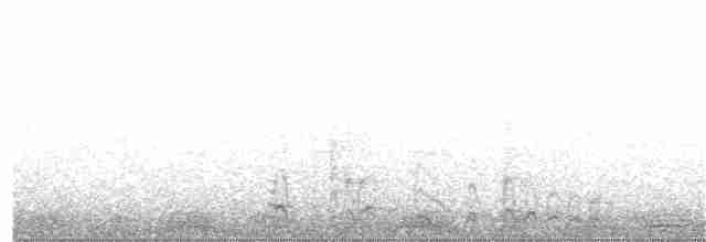 白腰叉尾海燕 - ML220229431
