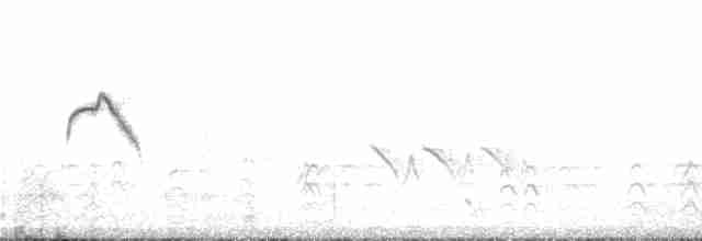Тиранчик-короткодзьоб південний - ML220230