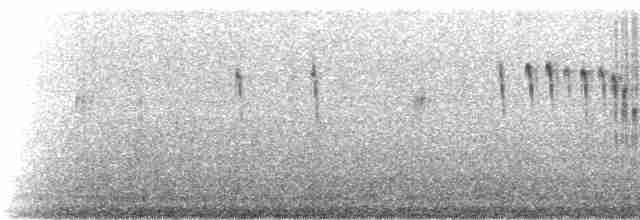 Атакамская трясохвостка - ML220251