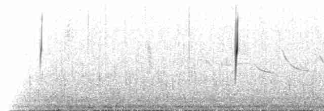 Атакамская трясохвостка - ML220252
