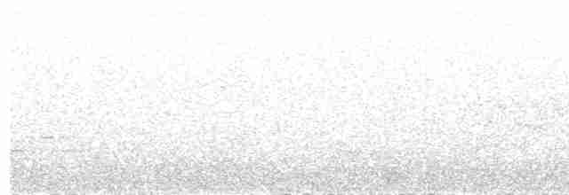 Little Grebe - ML220257011
