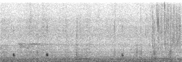 Common Merganser (North American) - ML220269051