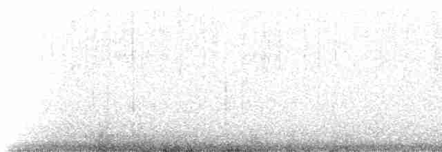 Kara Kanatlı Yer Kumrusu - ML220276