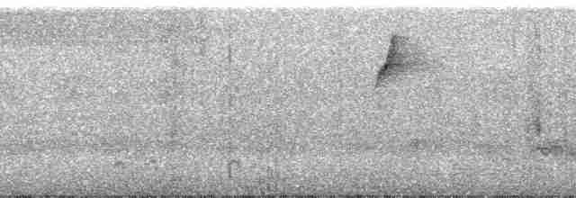 Black-tailed Flycatcher (Buff-rumped) - ML22040