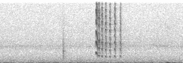 Тиран-інка буроголовий - ML22041
