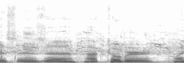 Kahnschnabelreiher [zeledoni-Gruppe] - ML2205