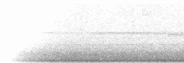 White-breasted Wood-Wren (Cherrie's) - ML220518