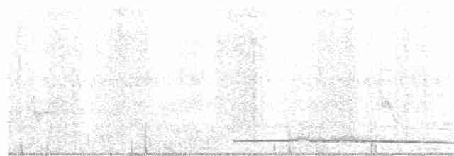 storflodugle - ML220528791