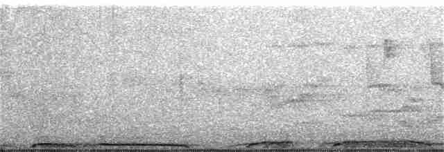holub hřivnáč - ML220531311