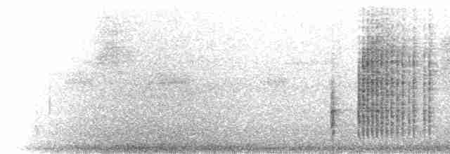 Серогрудый крапивник [группа mexicana] - ML220543