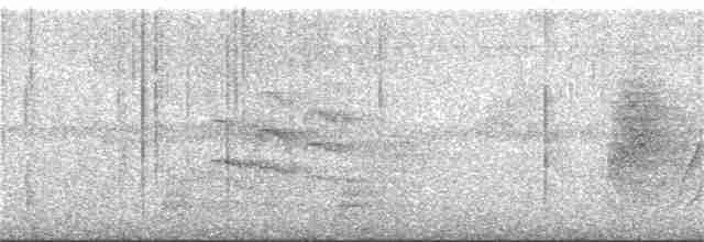 Band-tailed Antwren - ML220556921