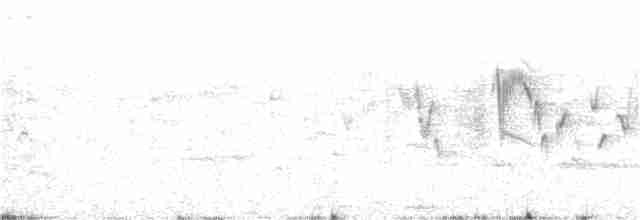 Трав’янка білошия - ML220558981