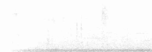 Пестрогрудый лесовик - ML220583