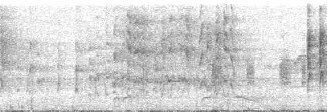 Ockerstirn-Blattspäher - ML22063